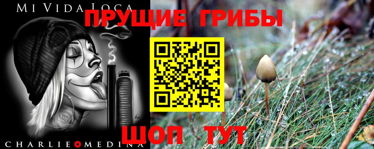 Псилоцибиновые грибы мухоморы Керчь